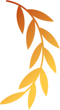 vector